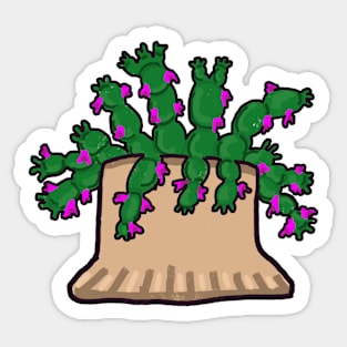 Christmas Cacti Sticker